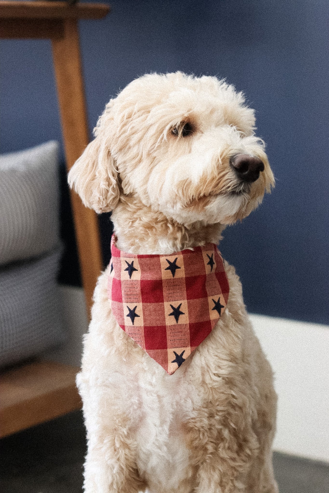 Heritage Bandana