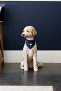 Lowcountry Bandana Navy
