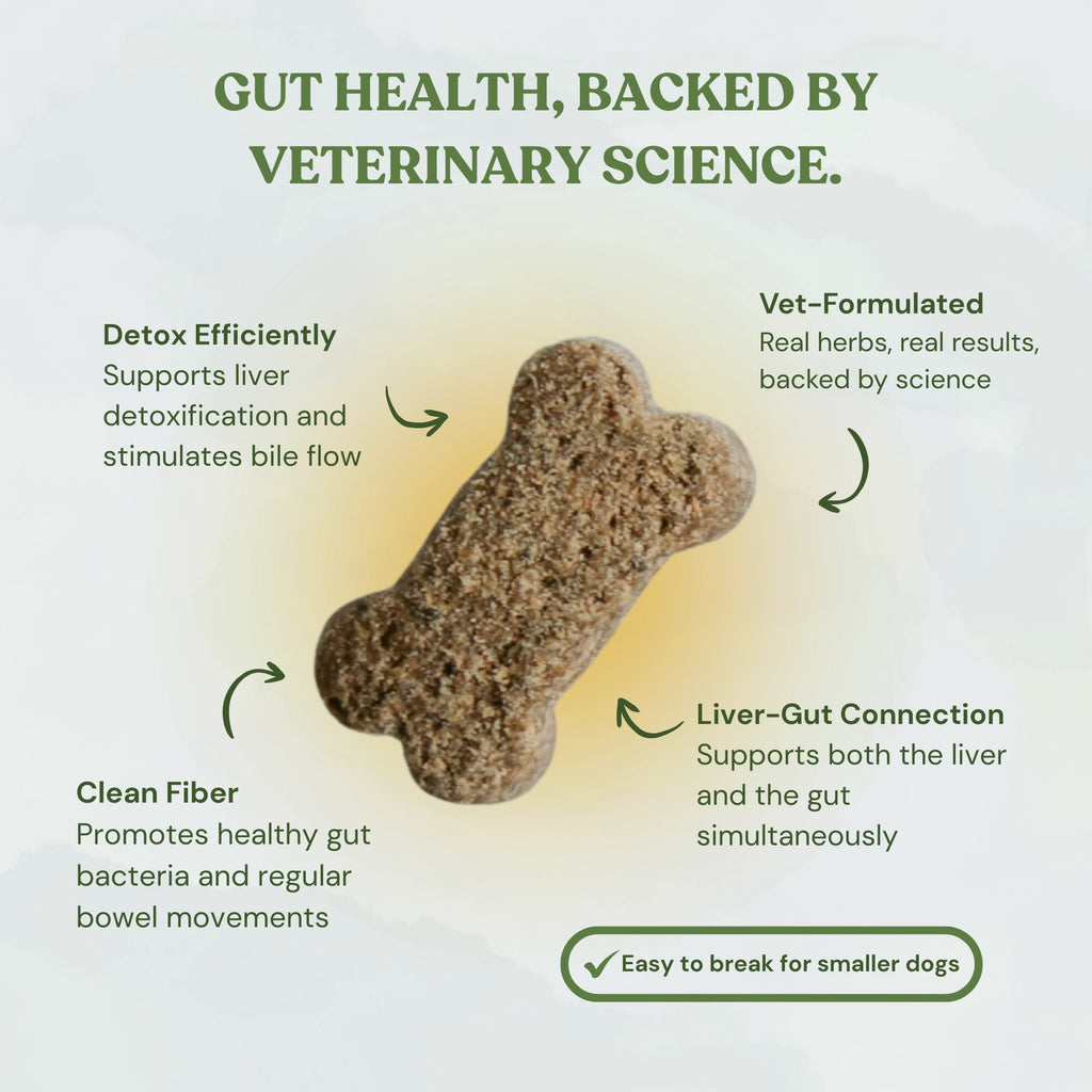 Inner Glow Cookies - All Natural, Organic Dog Treats