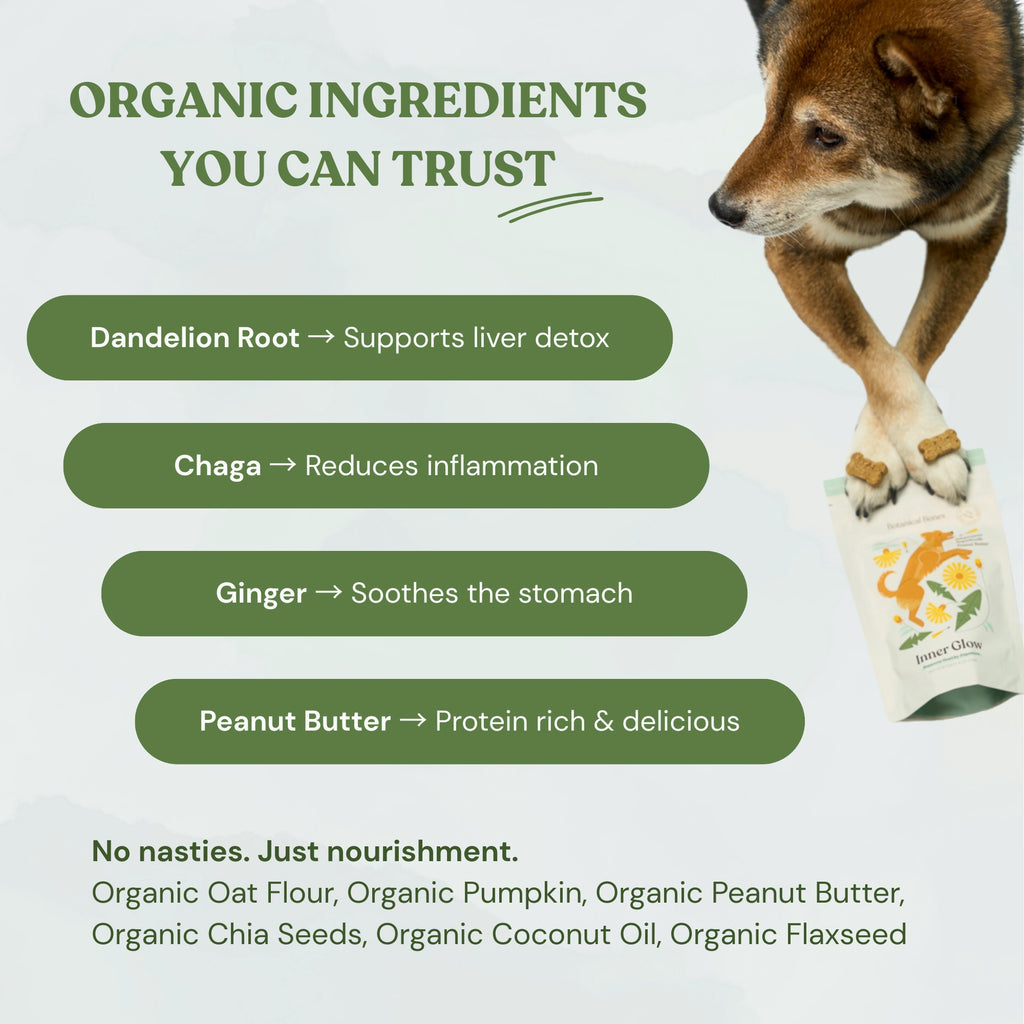 Inner Glow Cookies - All Natural, Organic Dog Treats
