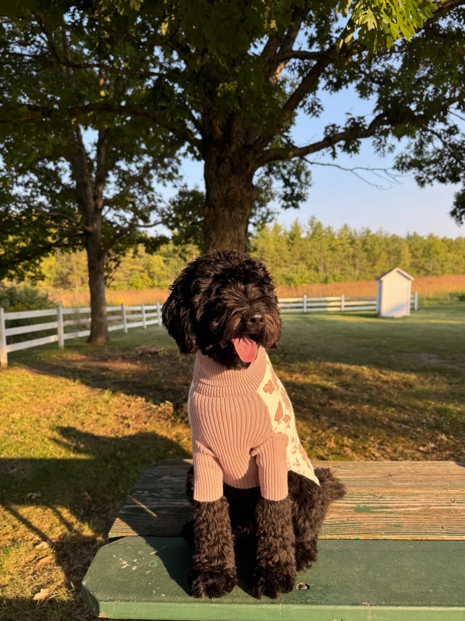 Matilda Sweater