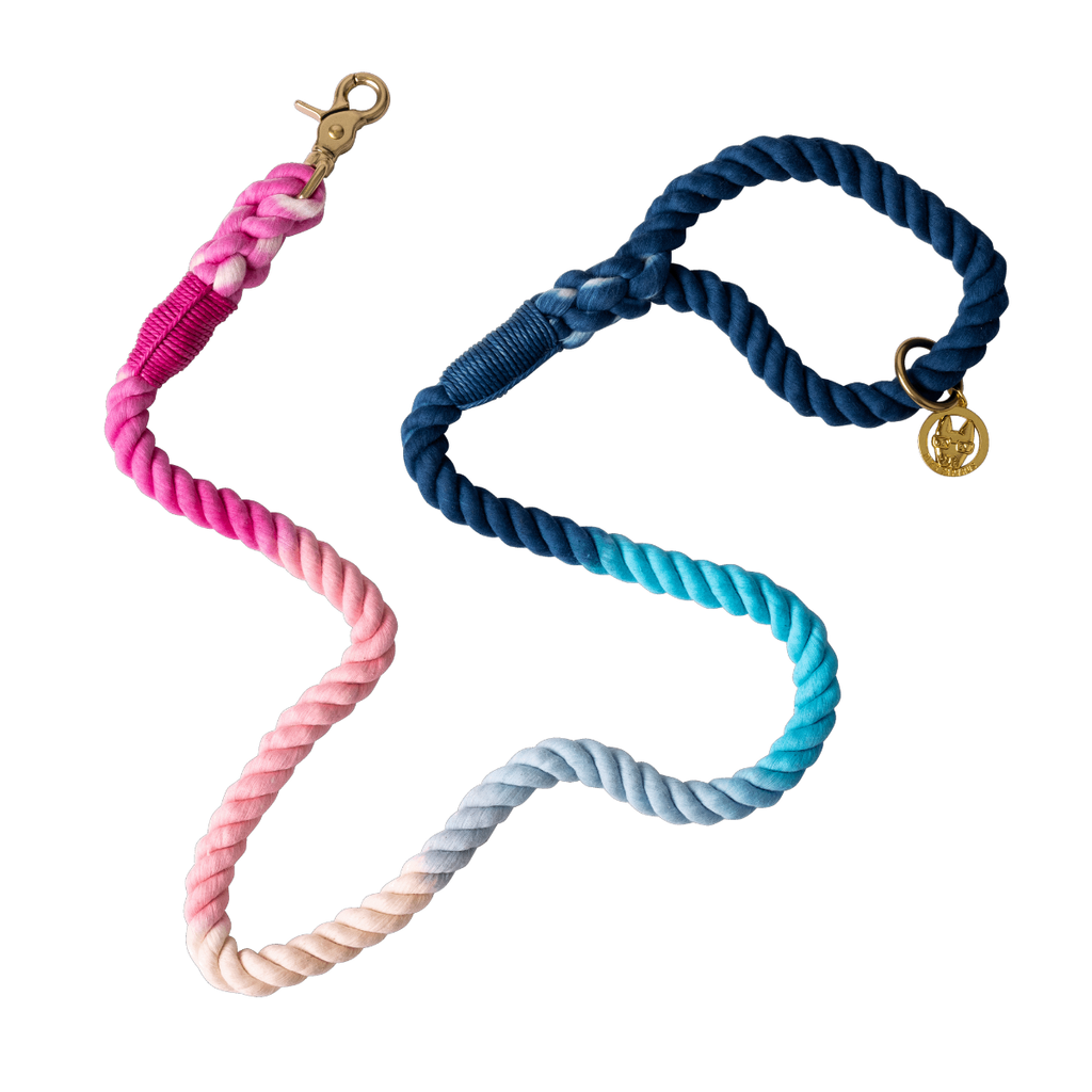 Maddox Rope Dog Leash | Dog Leash | Blue And Pink Leash