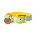 Sunshine Dog Collar