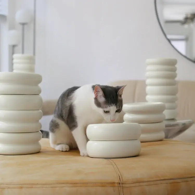 Elevated Halo Pet Bowl