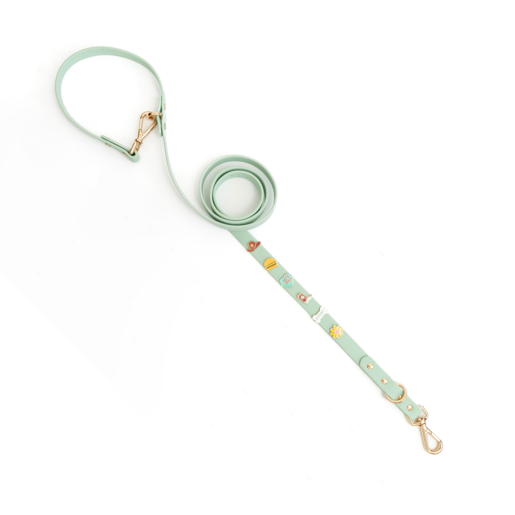 Moodies Leash