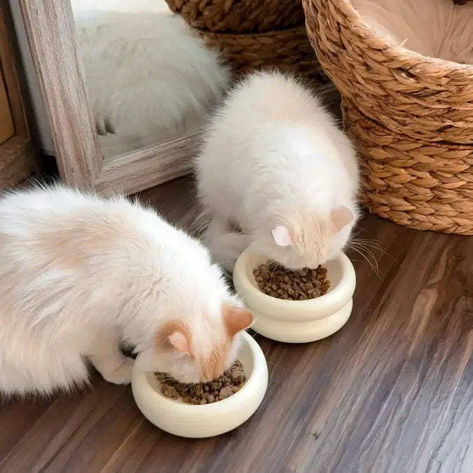 Elevated Halo Pet Bowl