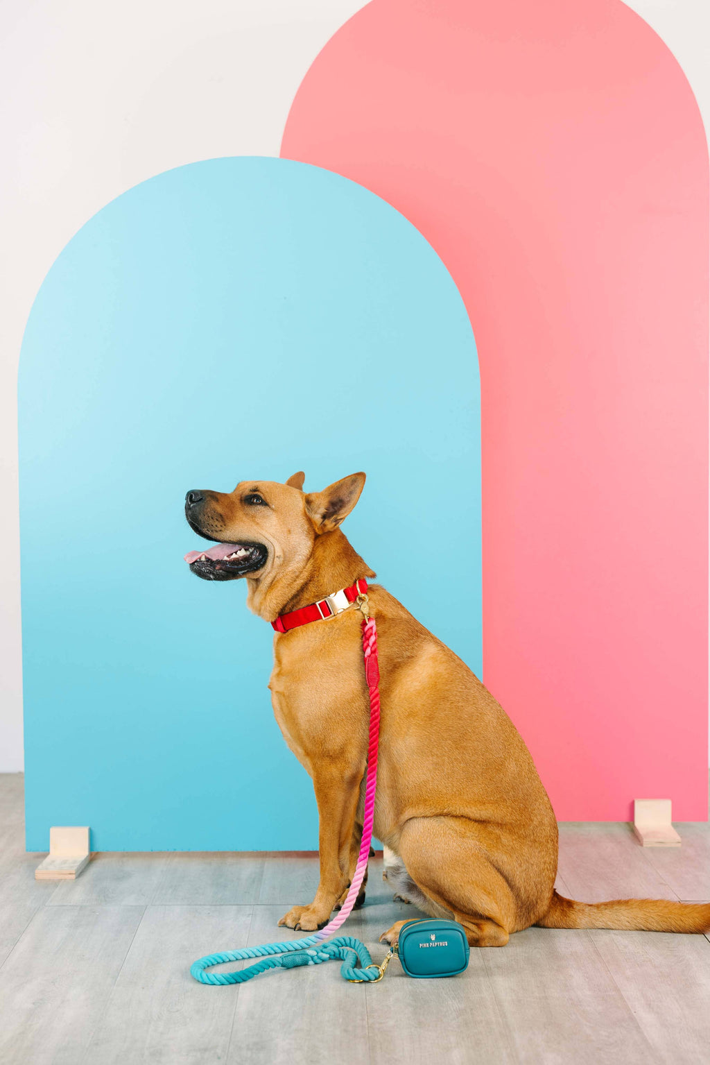 Micah Rope Dog Leash | Dog Leash | Ombre Leash