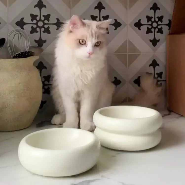 Elevated Halo Pet Bowl