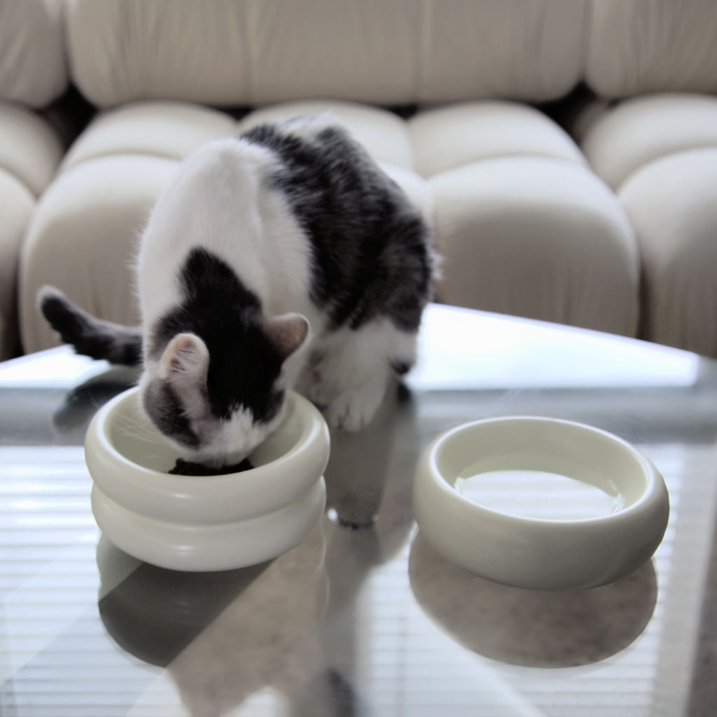 Elevated Halo Pet Bowl