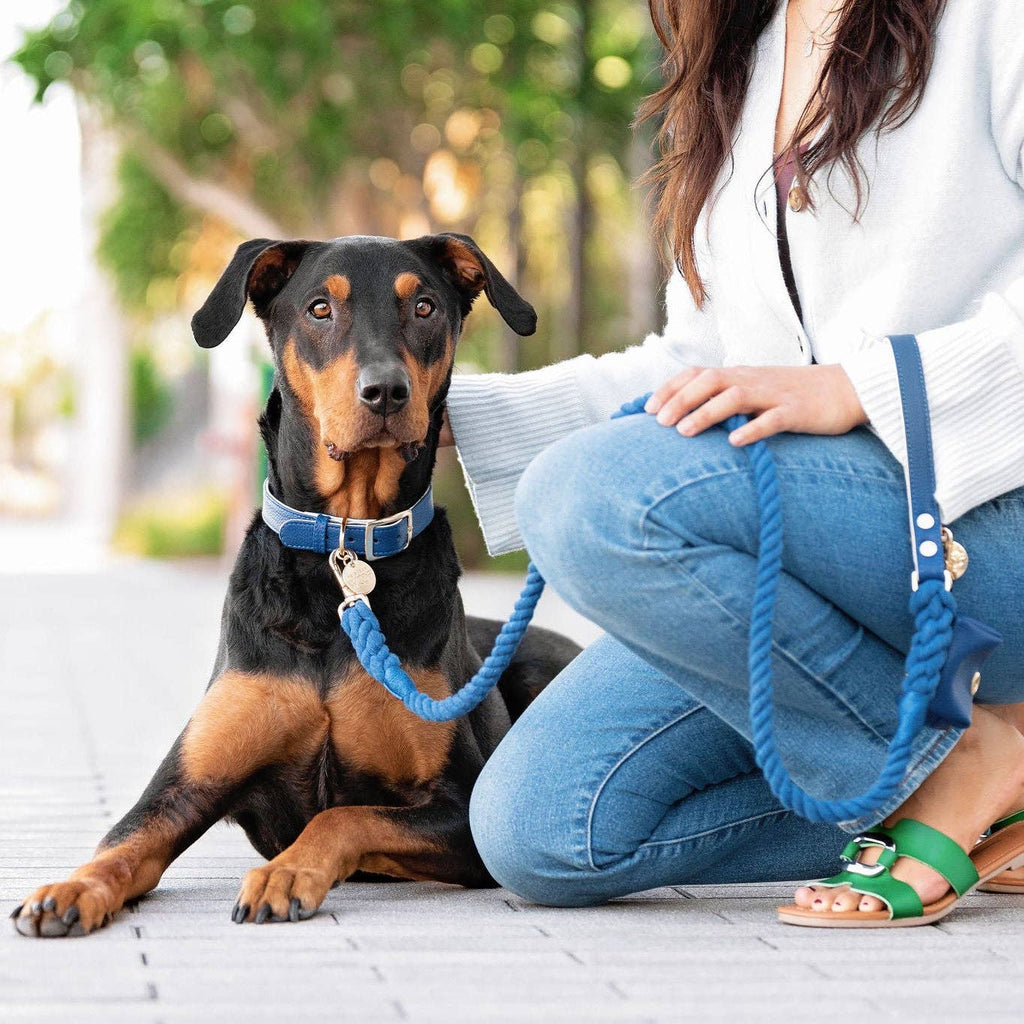 Cobalt Rope Leash