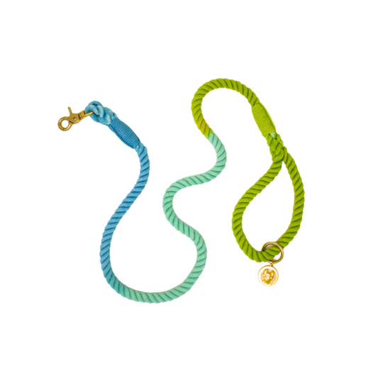 Alexandria Rope Dog Leash | Dog Leash | Blue Ombre Leash