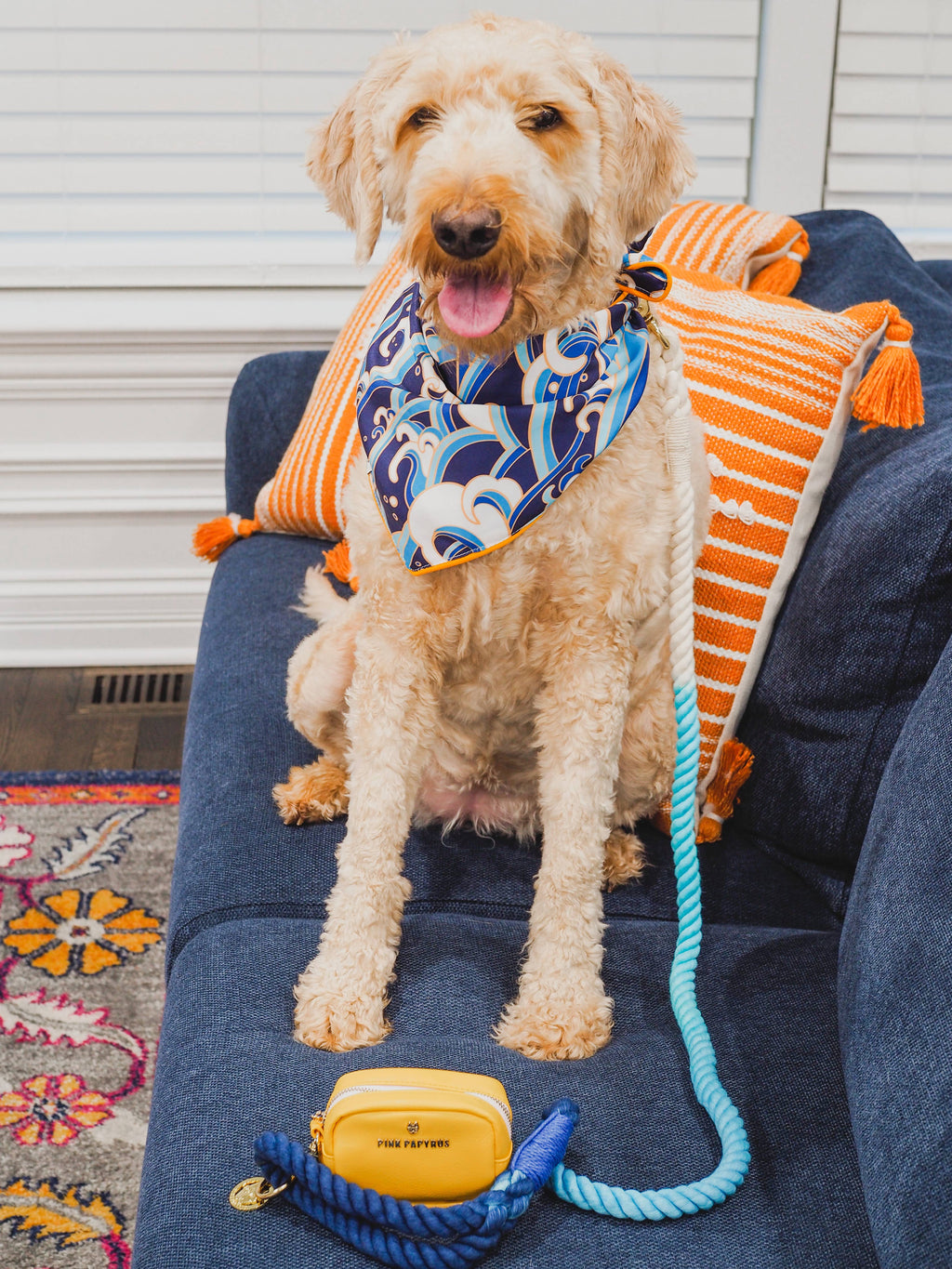 Kennedy Rope Dog Leash | Dog Leash | Blue Ombre Leash