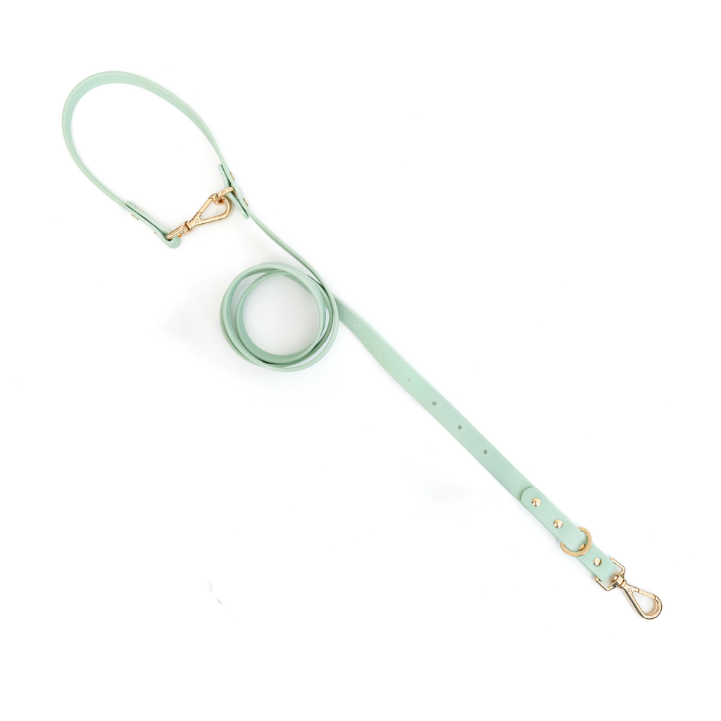 Moodies Leash