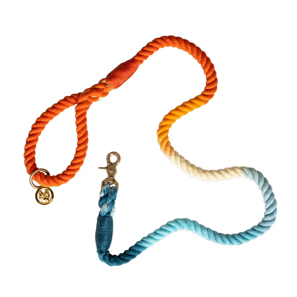 Beau Rope Dog Leash | Dog Leash | Blue And Orange Leash