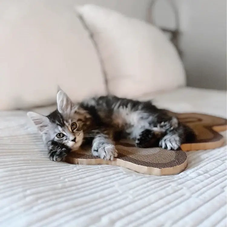 Bloom Scratcher