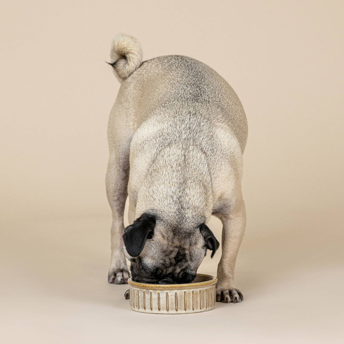 VERTICAL STRIPE BUFF SMALL PET BOWL