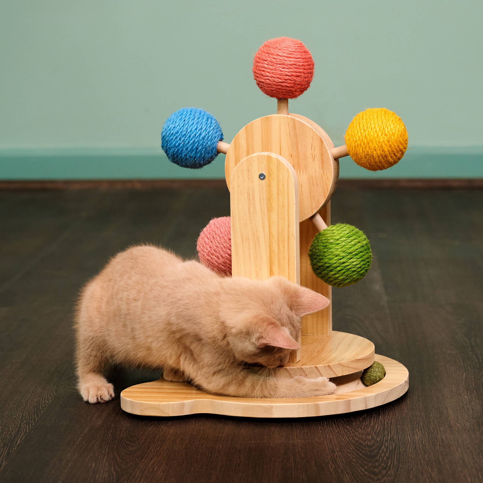 Ferris Wheel Cat Post