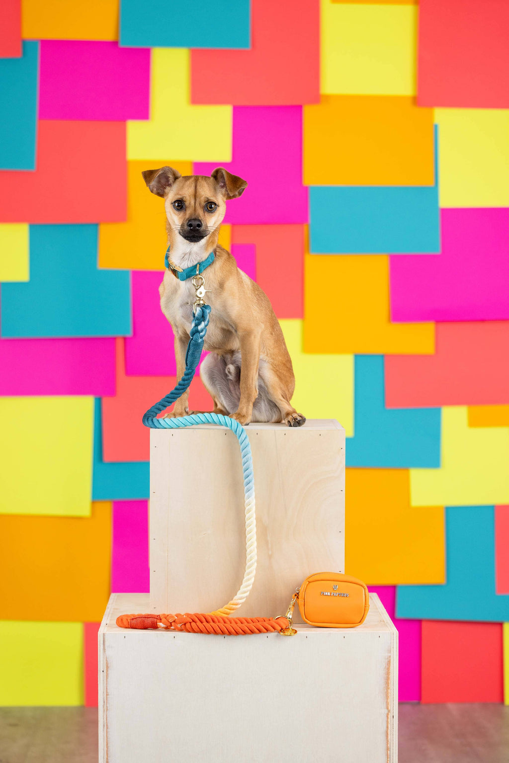 Beau Rope Dog Leash | Dog Leash | Blue And Orange Leash