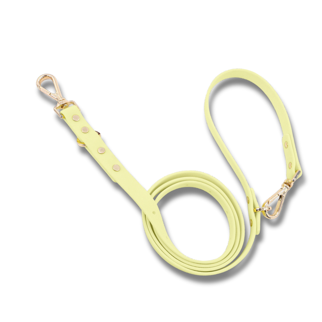 Moodies Leash