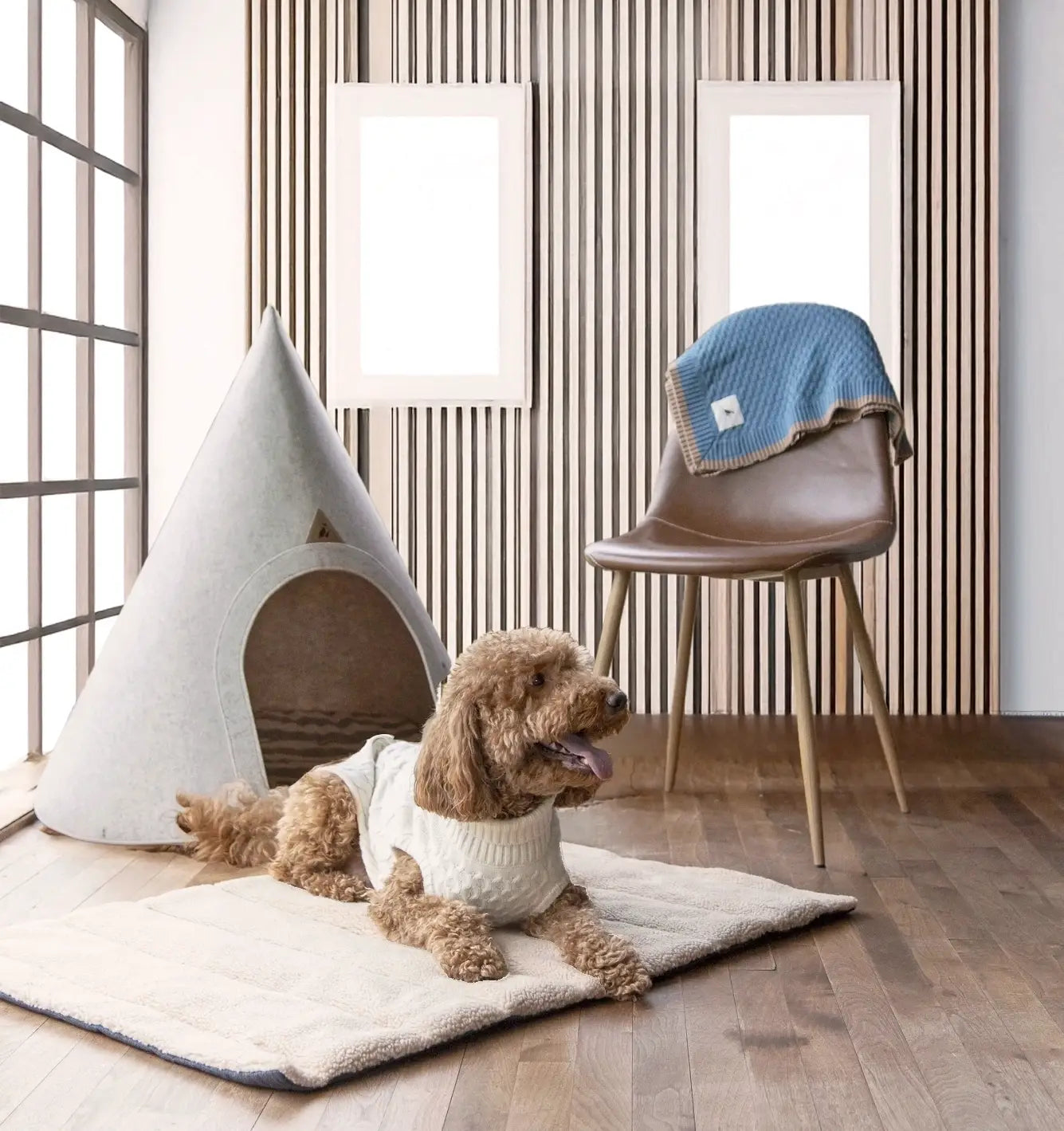 Nooee Pet Molly Cave – Size XL Cream Foldable Pet Cave