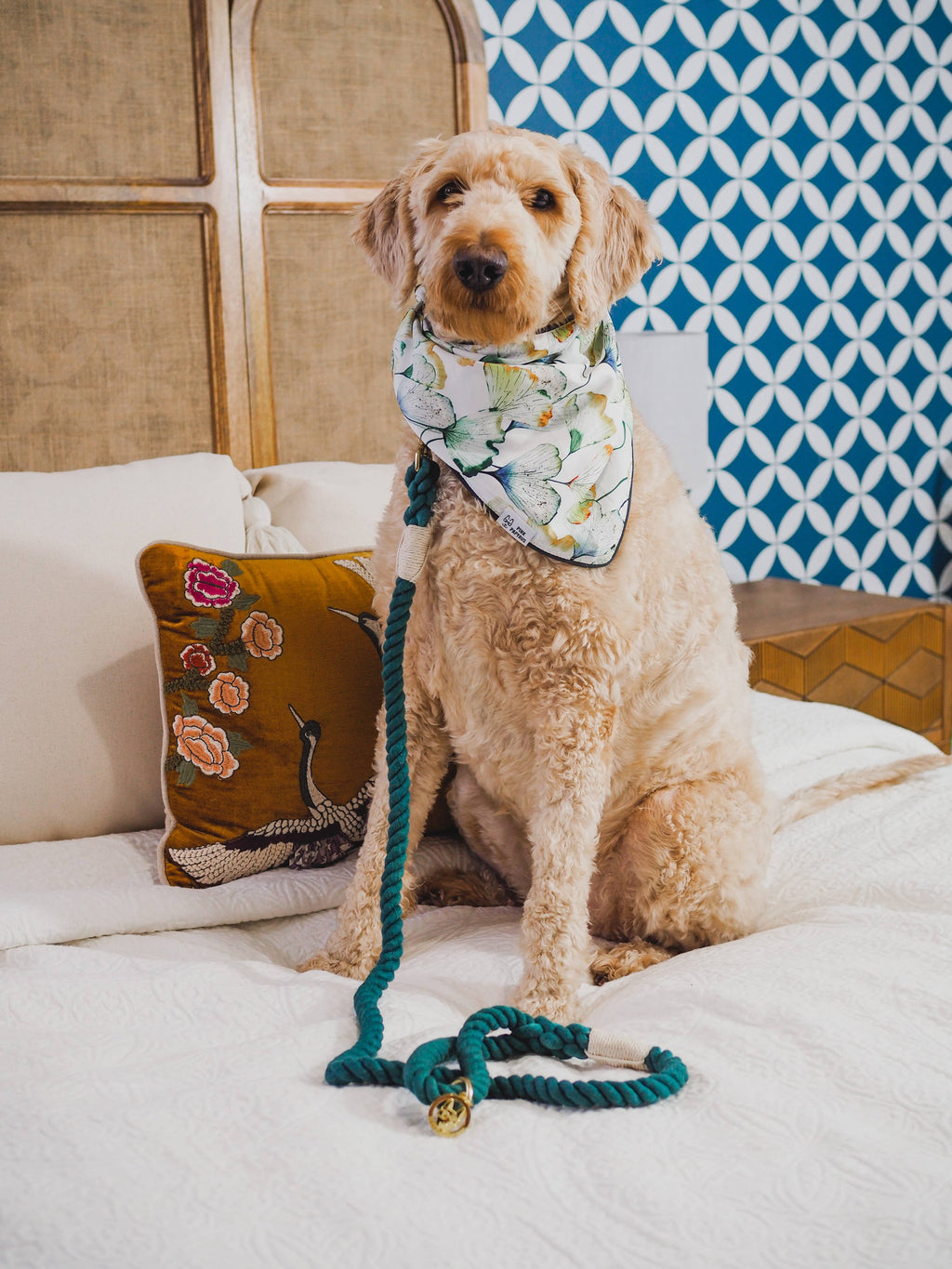 Sam Rope Dog Leash | Dog Leash | Green Leash