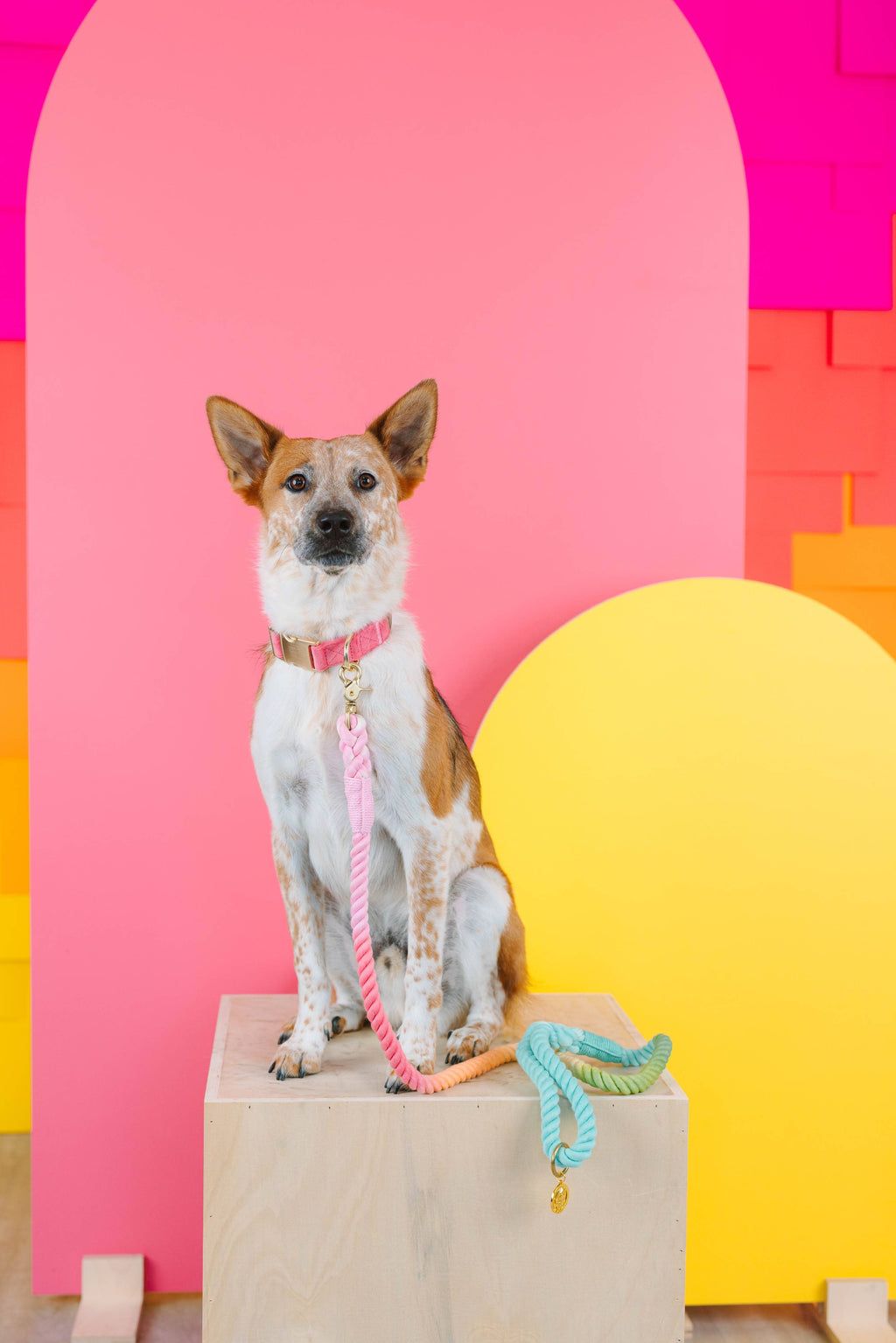 Halston Rope Dog Leash | Dog Leash | Pastel Leash