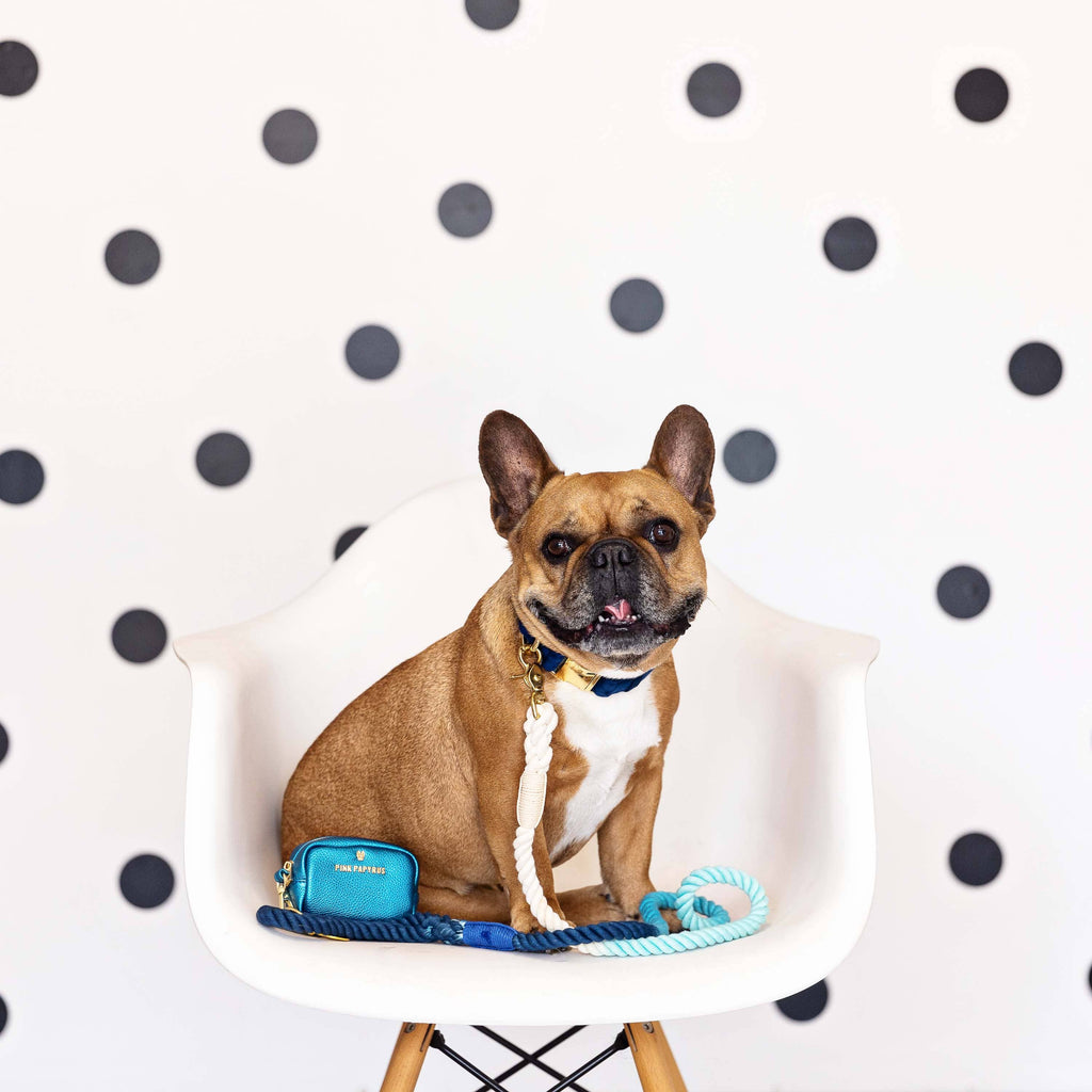 Kennedy Rope Dog Leash | Dog Leash | Blue Ombre Leash